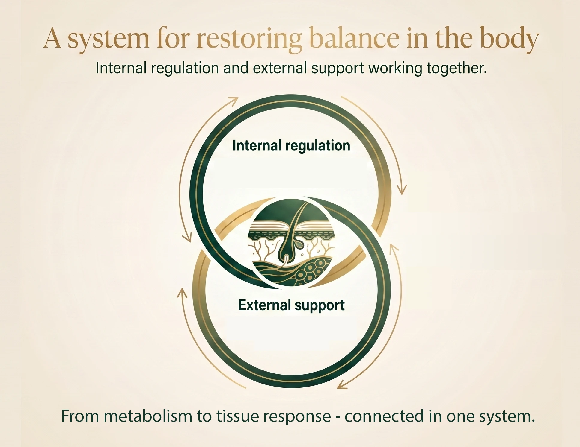 A system for restoring balance in the body — internal regulation and external support