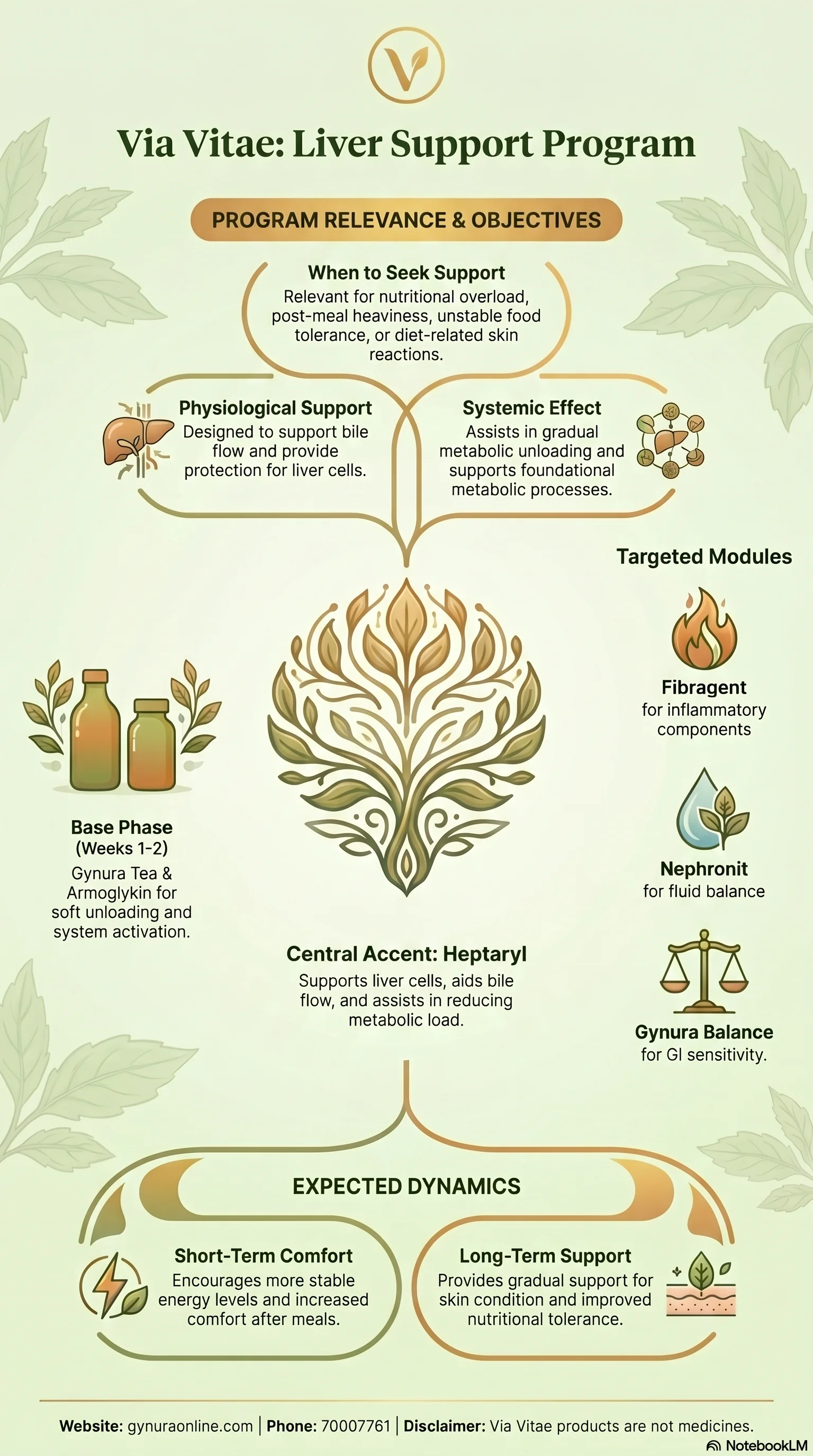Hepatic Detox Support program infographic — Via Vitae