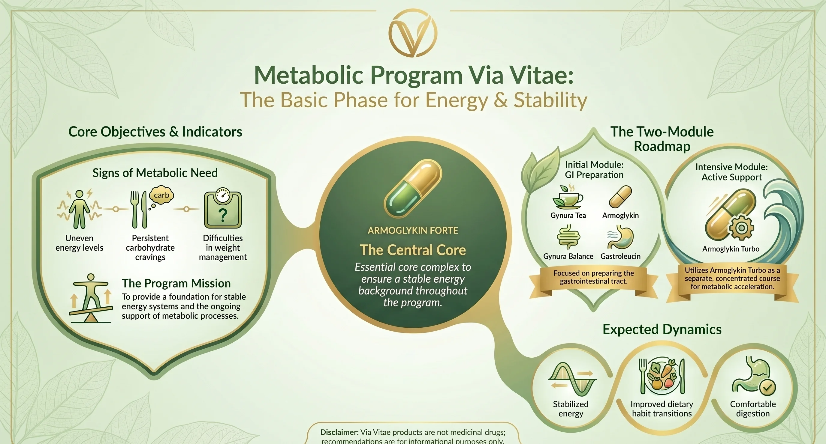 Metabolic Support program infographic — Via Vitae