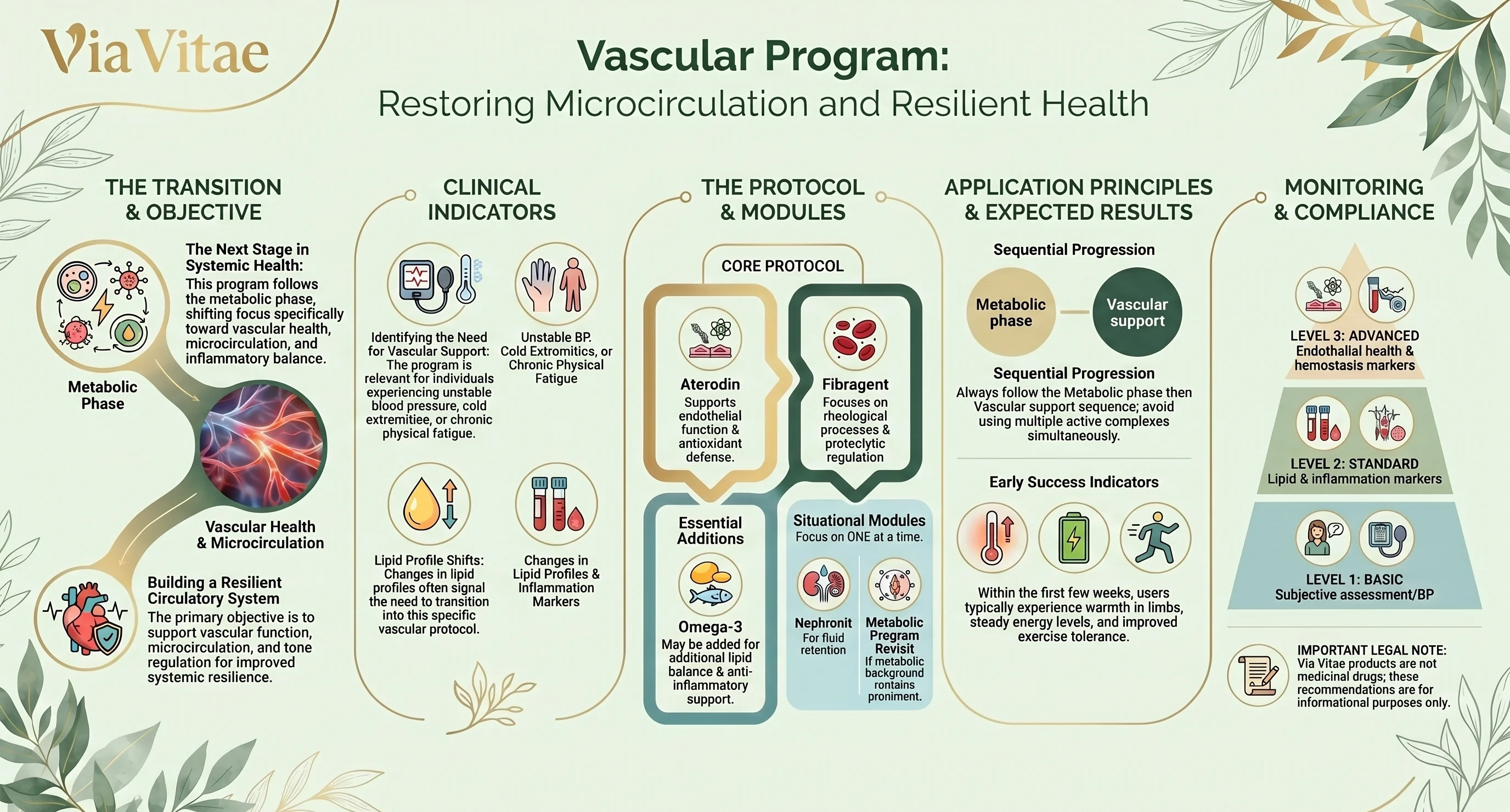 Vascular Support program infographic — Via Vitae