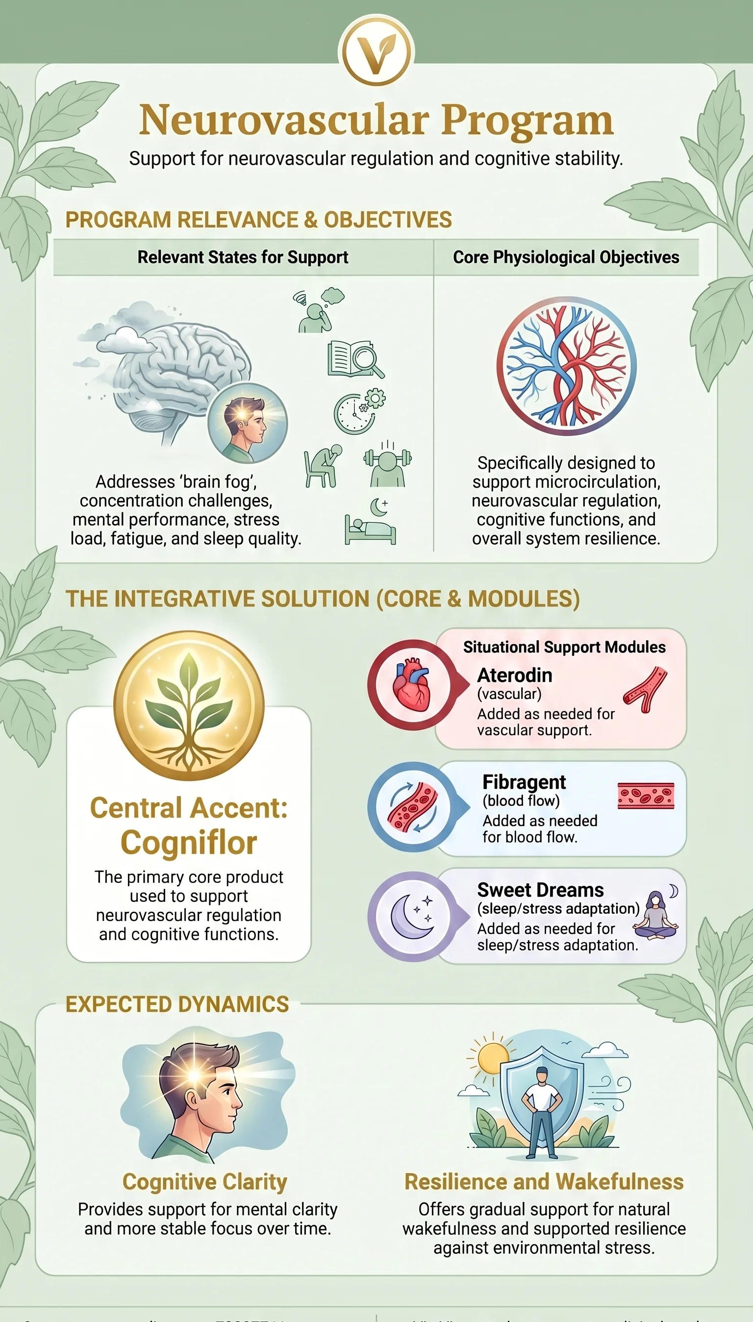 Neurovascular Support program infographic — Via Vitae