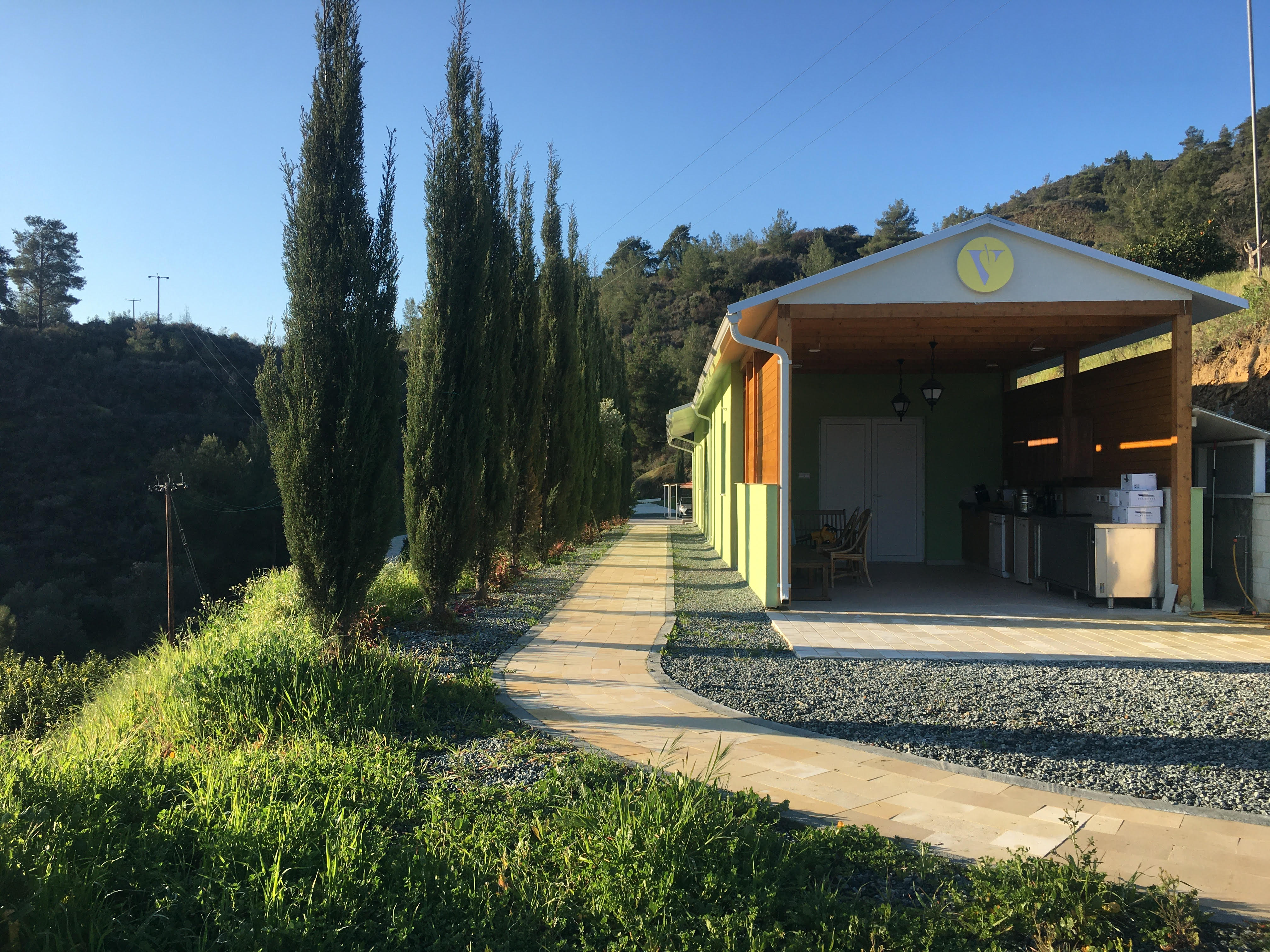 Gynura Hills plantation — Cyprus