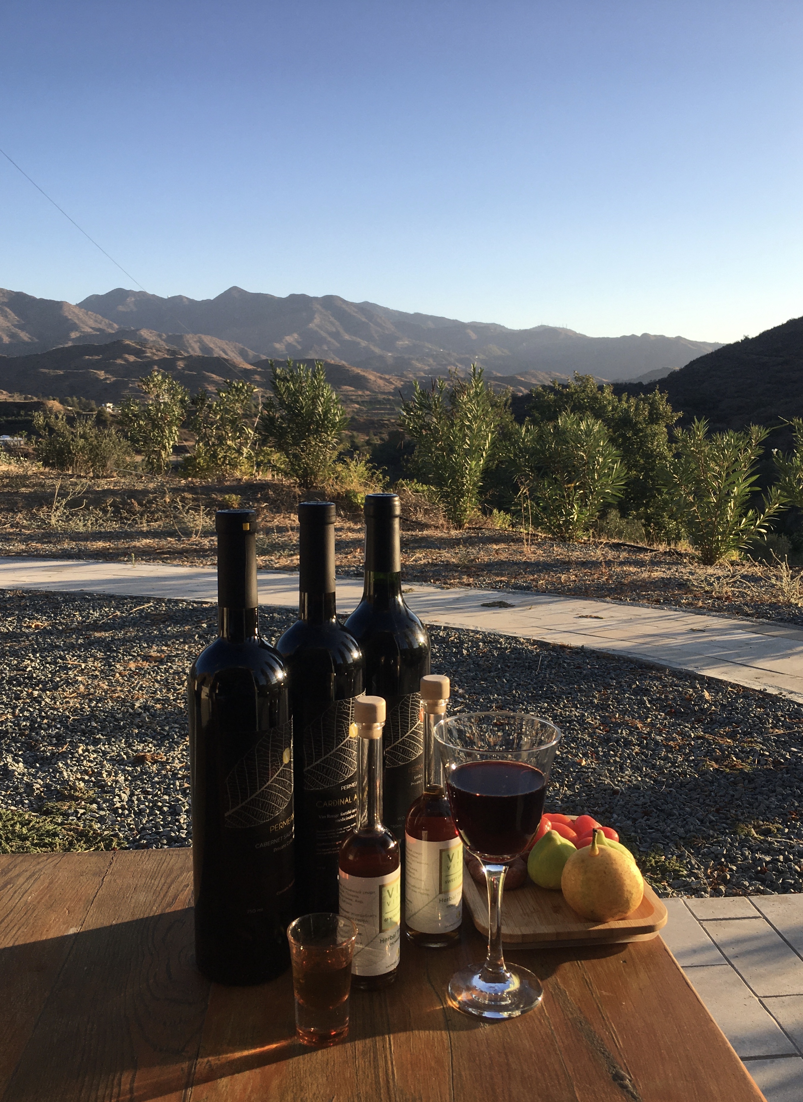 Gynura Hills plantation